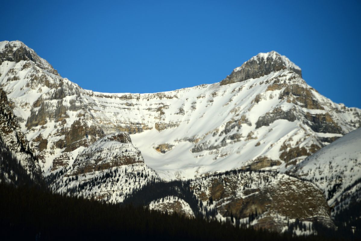 19C Mount Whyte and Mount Niblock Early Morning From Trans Canada Highway Just Before Lake Louise on Drive From Banff in Winter